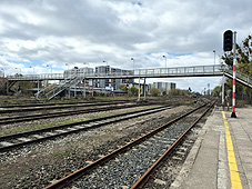 min 789 17.jpg